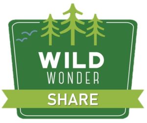 Wild Wonder Year 4 Logo